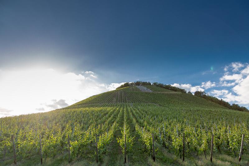 Weinhotel Ayler Kupp 외부 사진