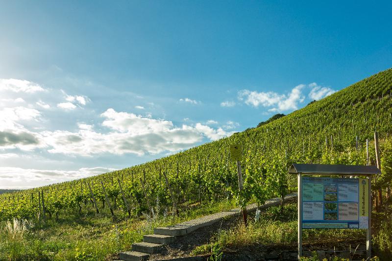 Weinhotel Ayler Kupp 외부 사진